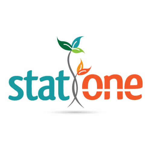 StatOneLogoFinal | Stat One | Stat One